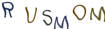 Captcha Image: you will need to recognize the text in it.