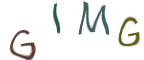 Captcha Image: you will need to recognize the text in it.