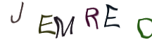 Captcha Image: you will need to recognize the text in it.