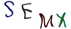 Captcha Image: you will need to recognize the text in it.