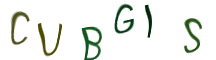 Captcha Image: you will need to recognize the text in it.