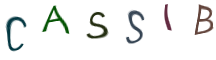 Captcha Image: you will need to recognize the text in it.
