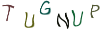 Captcha Image: you will need to recognize the text in it.