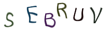 Captcha Image: you will need to recognize the text in it.