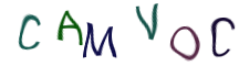 Captcha Image: you will need to recognize the text in it.