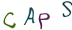Captcha Image: you will need to recognize the text in it.