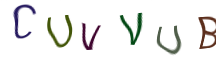 Captcha Image: you will need to recognize the text in it.