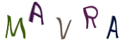 Captcha Image: you will need to recognize the text in it.