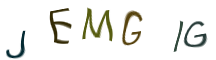 Captcha Image: you will need to recognize the text in it.