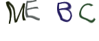 Captcha Image: you will need to recognize the text in it.