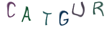 Captcha Image: you will need to recognize the text in it.