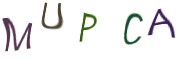 Captcha Image: you will need to recognize the text in it.