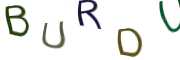 Captcha Image: you will need to recognize the text in it.