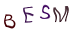 Captcha Image: you will need to recognize the text in it.