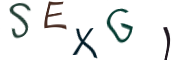 Captcha Image: you will need to recognize the text in it.