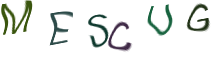 Captcha Image: you will need to recognize the text in it.