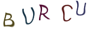 Captcha Image: you will need to recognize the text in it.