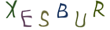 Captcha Image: you will need to recognize the text in it.