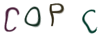 Captcha Image: you will need to recognize the text in it.