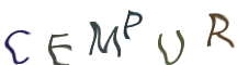 Captcha Image: you will need to recognize the text in it.