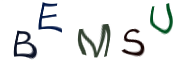 Captcha Image: you will need to recognize the text in it.